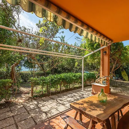 Pinus Blissful Breeze Appartement *
